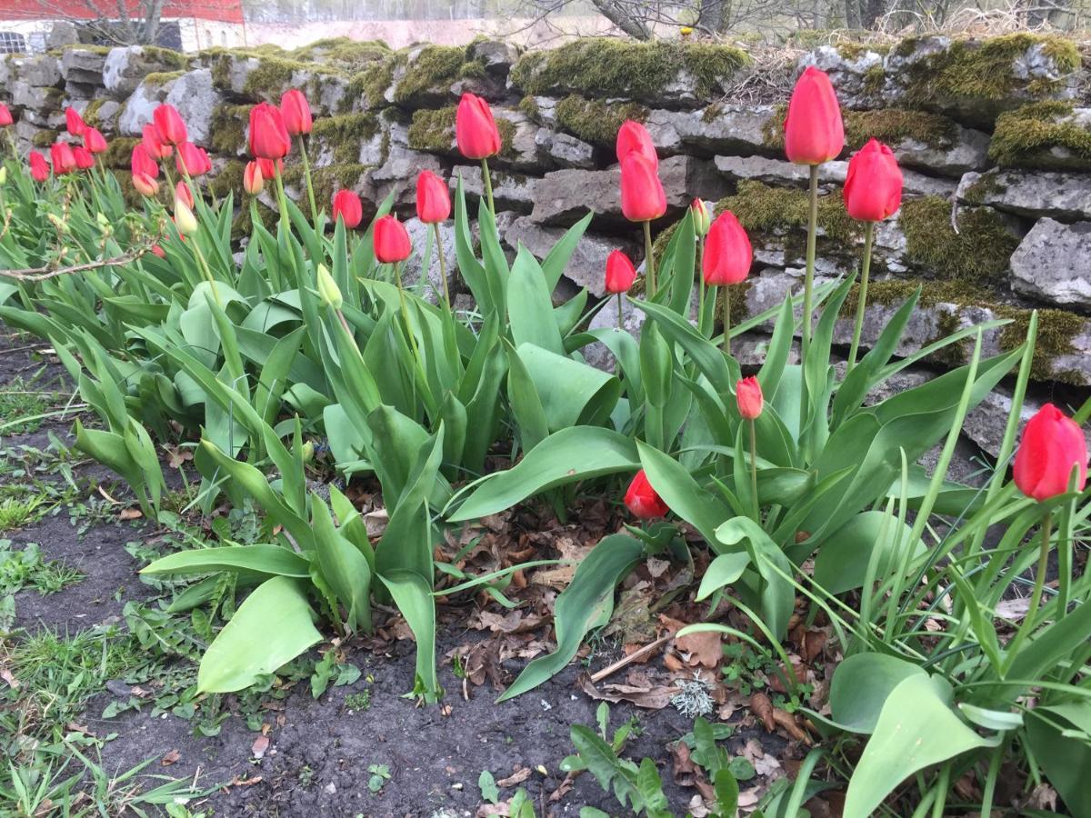 Stenbrottets Lillstuga Falköping Extérieur photo